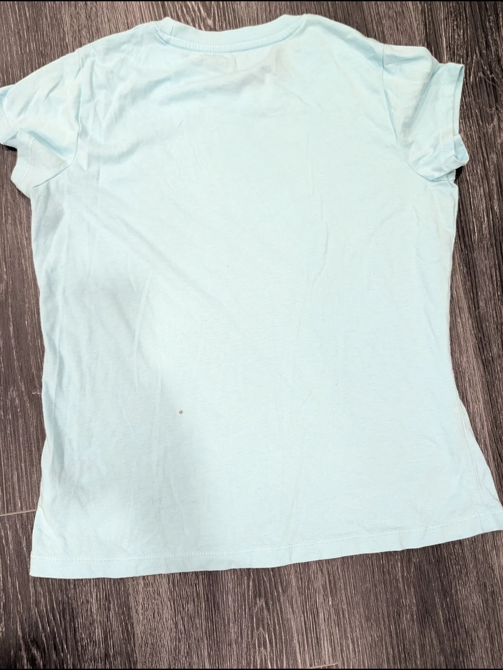 Champion Women's Light Blue Logo Tee with Pink Script